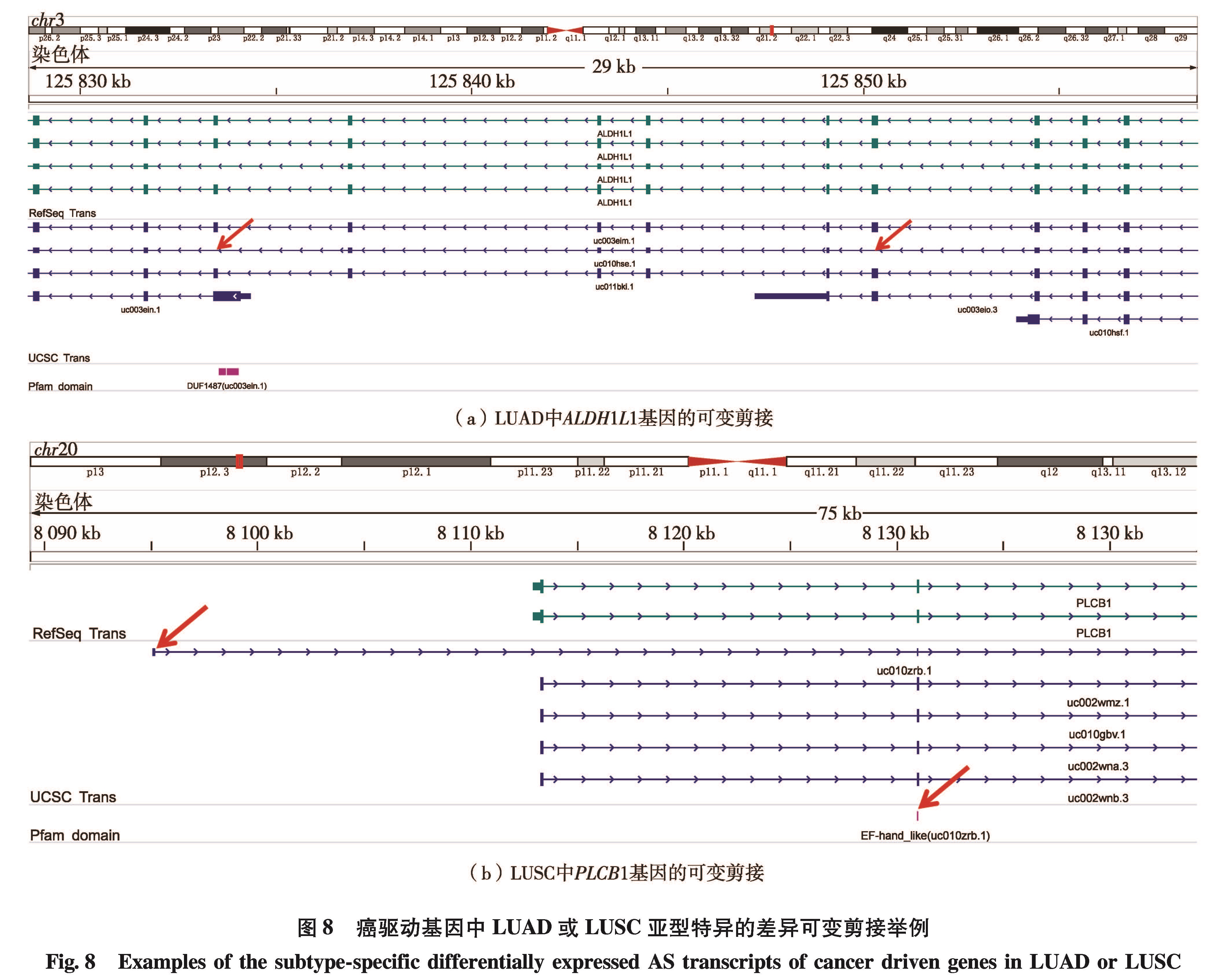 深圳大学学报理工版