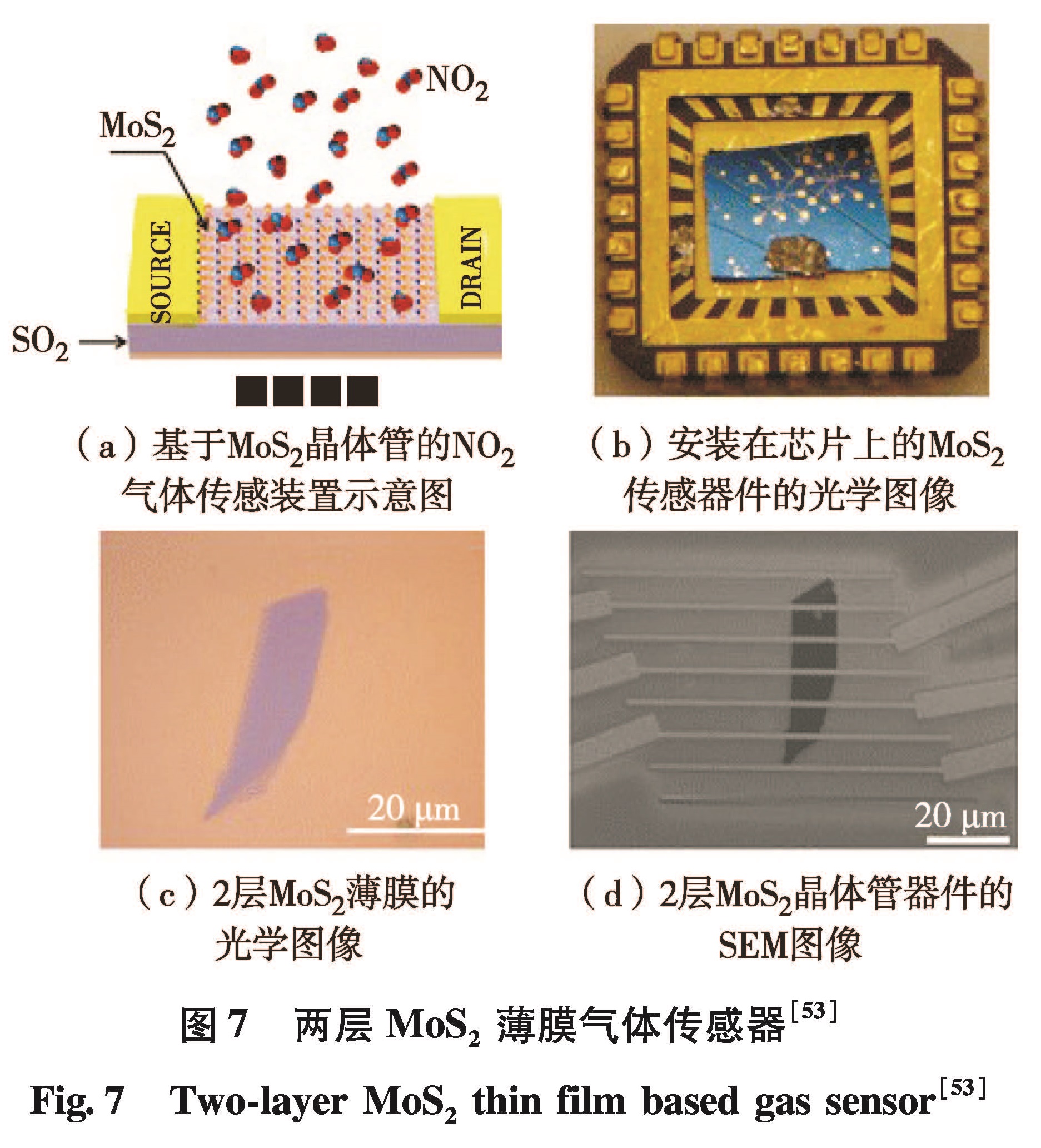 深圳大学学报理工版