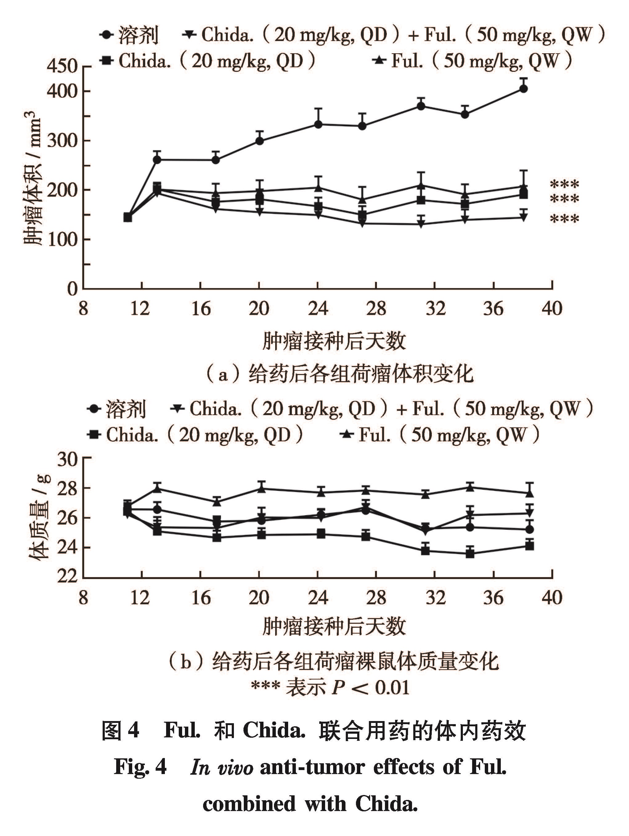 图4 Ful.和Chida.联合用药的体内药效<br/>Fig.4 In vivo anti-tumor effects of Ful.combined with Chida.