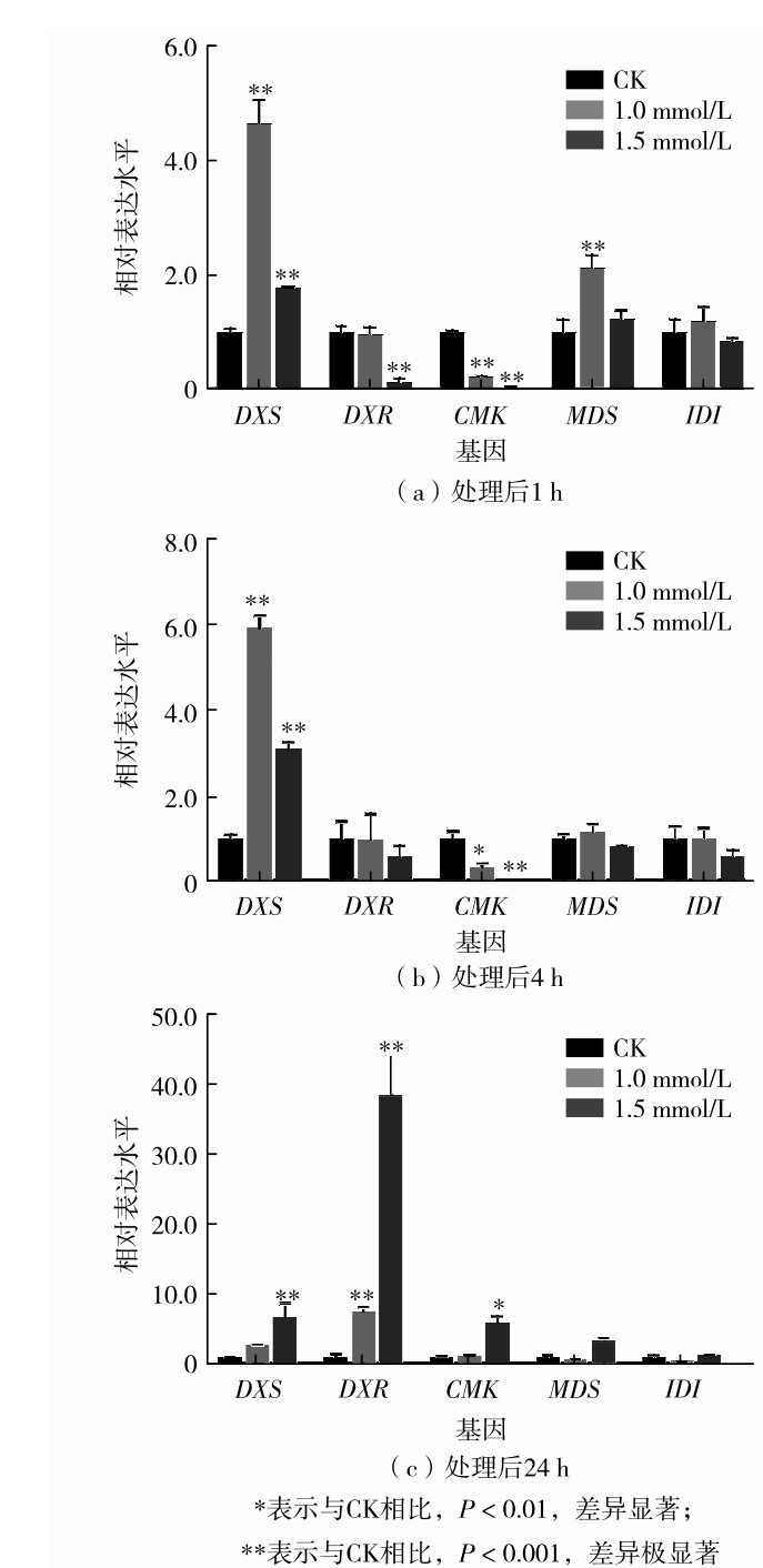 图3 不同浓度MeJA处理后MEP途径基因的表达水平Fig. 3 Expression levels of MEP pathway genes after treatment with different concentrations of MeJA