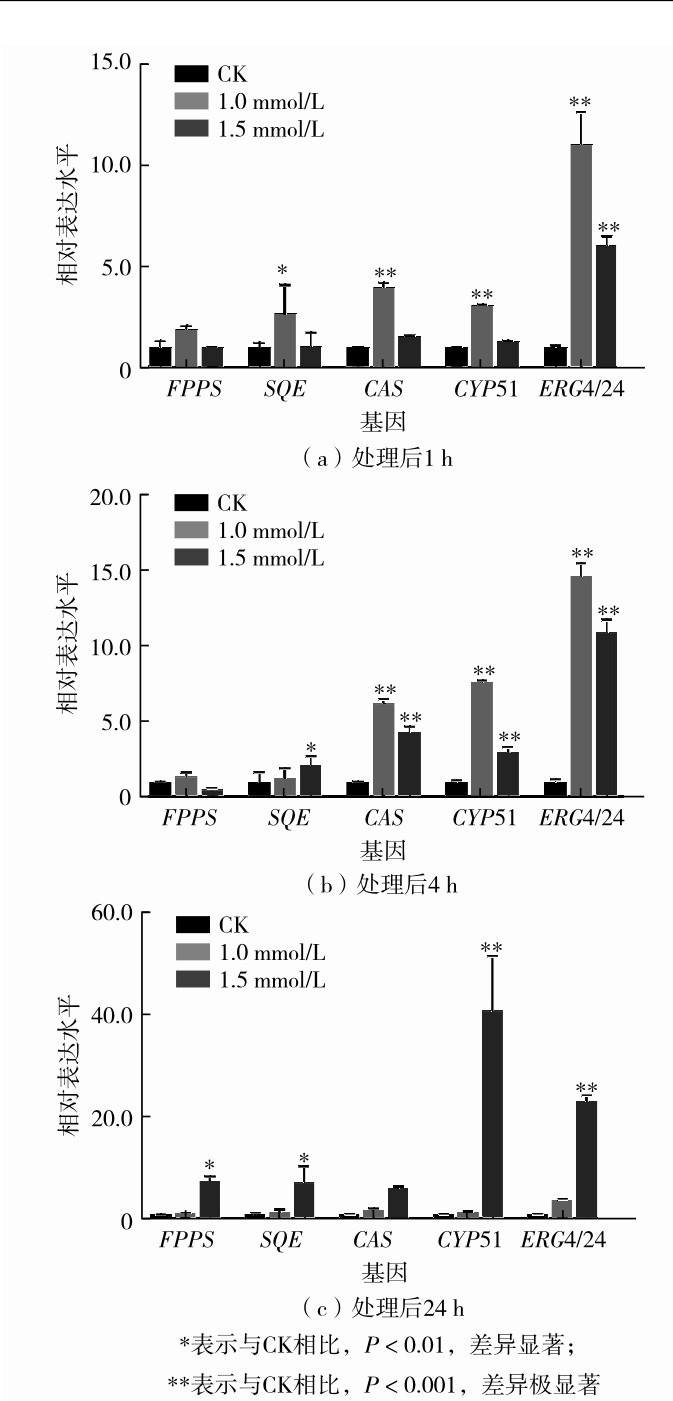 图6 不同浓度MeJA处理后甾醇类物质合成途径基因的表达水平Fig. 6 Expression levels of sterol synthesis genes after treatment with different concentrations of MeJA