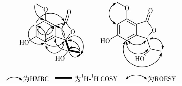 图2 化合物1的1H-1H COSY （粗线）、HMBC （单箭头）和ROESY （双箭头）相关Fig. 2 Key 1H-1H COSY (bold lines), HMBC (single arrows) and ROESY (double arrows) correlations of compound 1