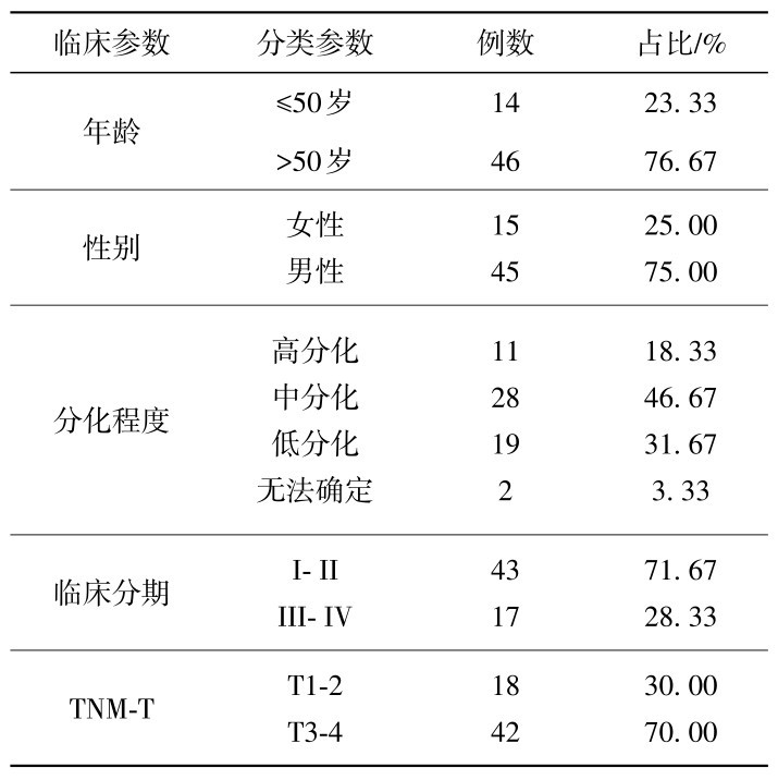 表1 组织芯片的患者临床信息Table 1 Clinical characteristics of the patients in tested tissue array