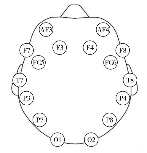 图2 电极名称及位置Fig. 2 Electrodes and their locations