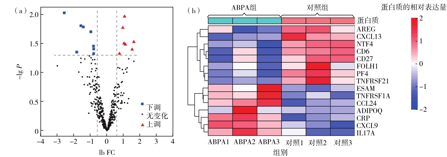 图4 ABPA与正常对照组血清DEPs的（a）火山图和（b）聚类热图Fig. 4 （a）Volcano map and（b）expression profile heatmap of serum DEPs compared ABPA patients to healthy controls.